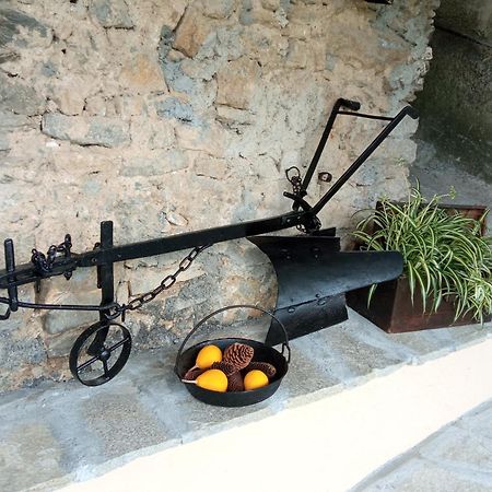 Agriturismo U'Spigu Nonna Annetta Nasino المظهر الخارجي الصورة