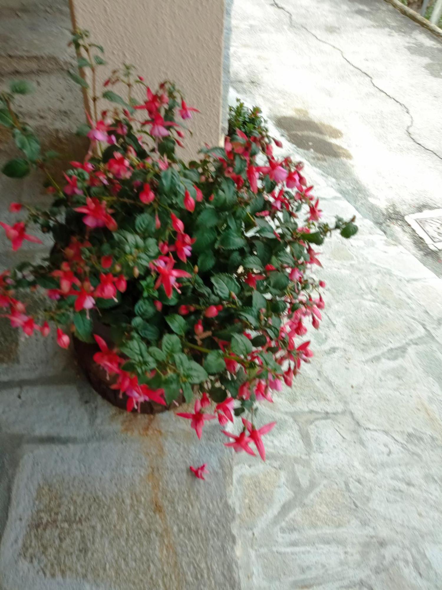 Agriturismo U'Spigu Nonna Annetta Nasino المظهر الخارجي الصورة