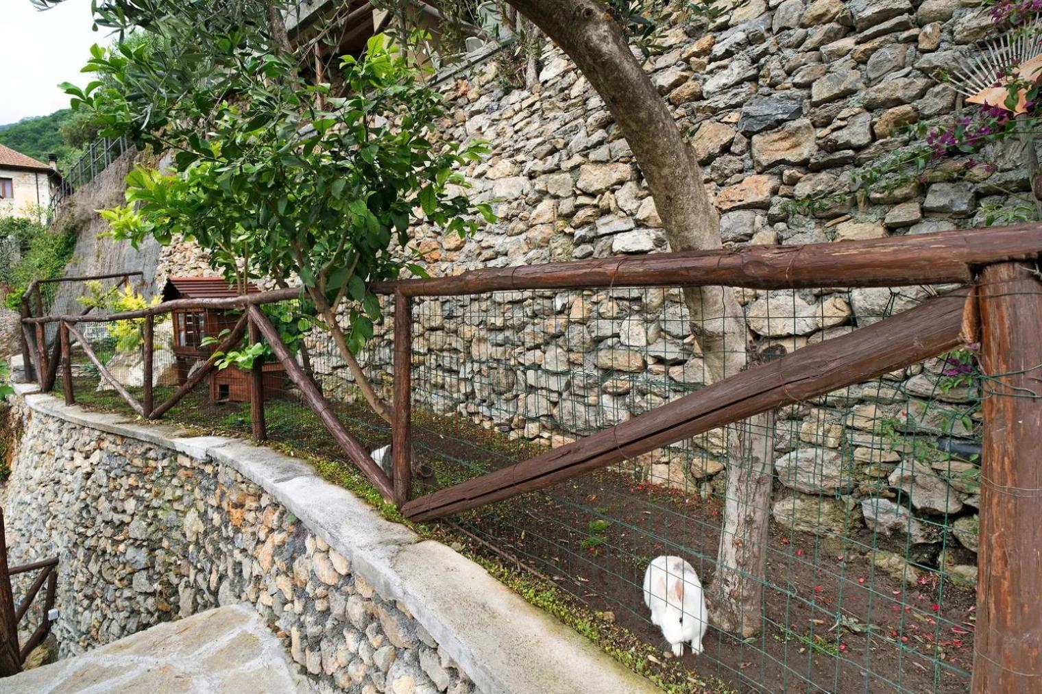 Agriturismo U'Spigu Nonna Annetta Nasino المظهر الخارجي الصورة